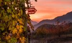 Da Sindelfingen in Valtellina per il Wine Trail