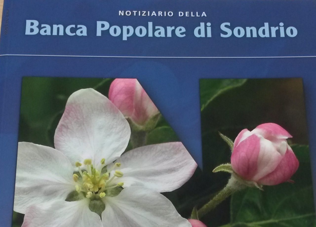 In distribuzione il primo numero del 2018 del Notiziario Bps