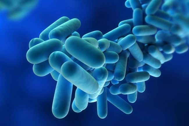 Salgono i casi di Legionella in Lombardia