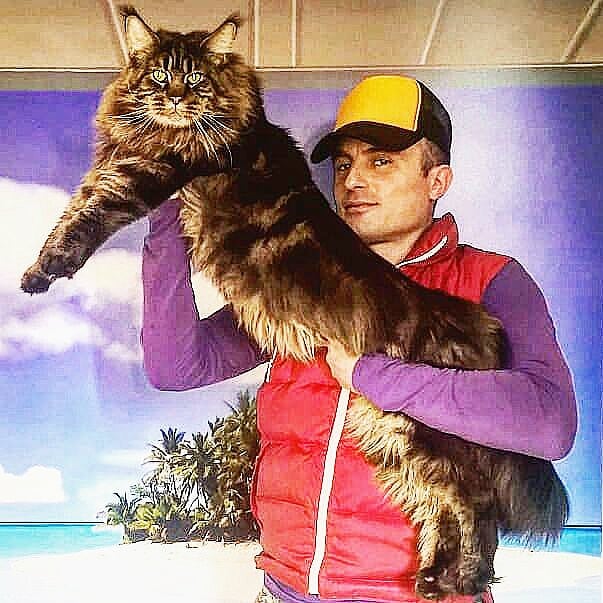 È lombardo il gatto più lungo del mondo