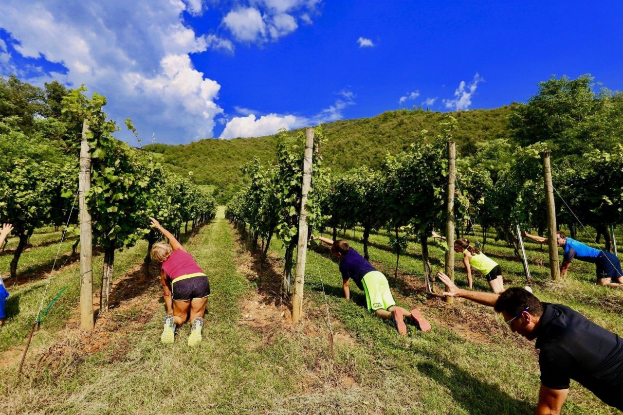 Zappare e raccogliere, l’attività in vigna diventa ginnastica wellness