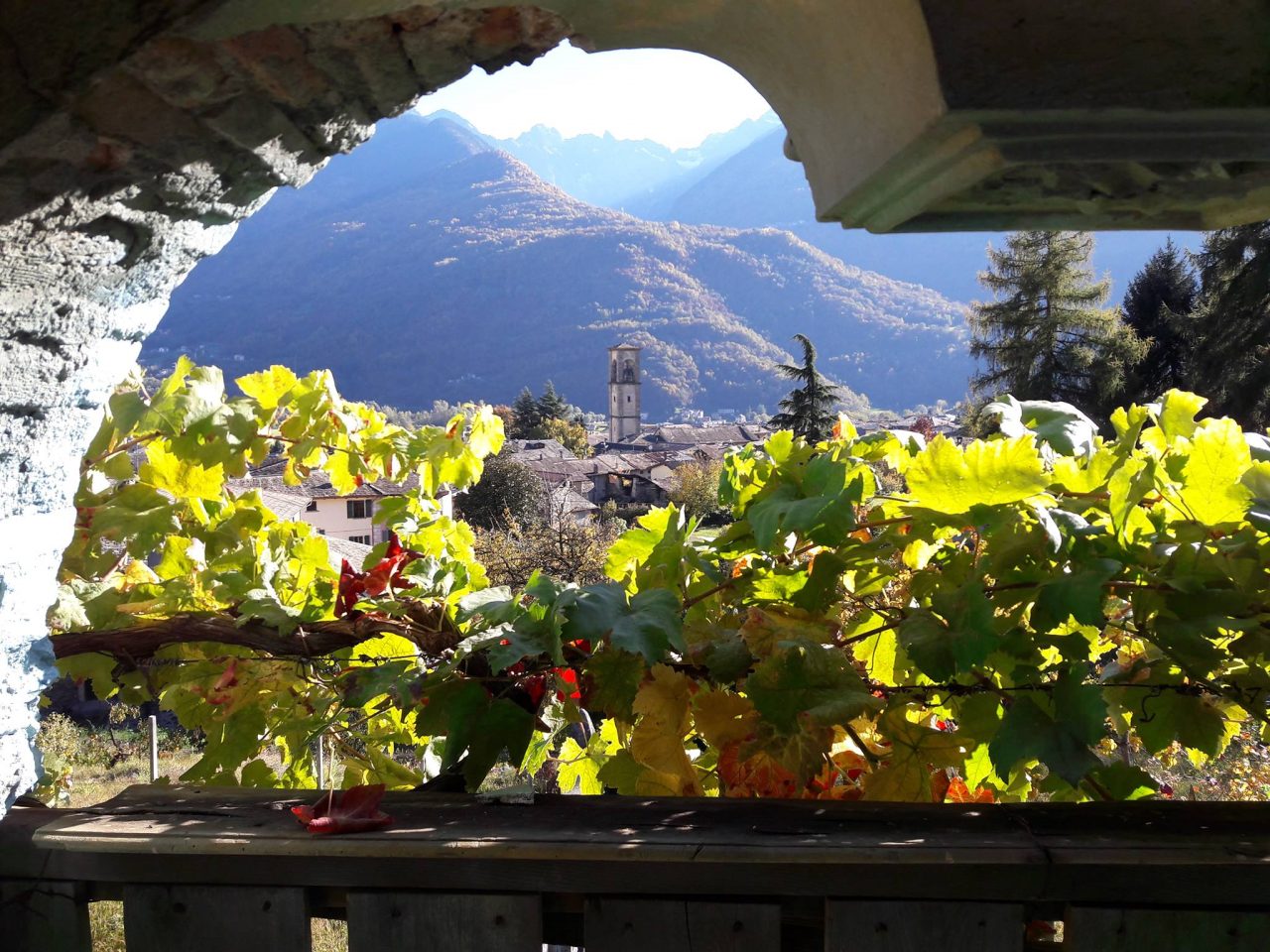 Torna il Grappolo D’Oro
