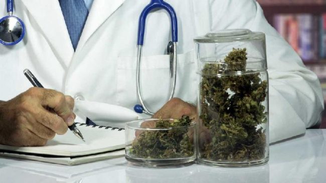 Cannabis terapeutica, cure gratuite in Lombardia