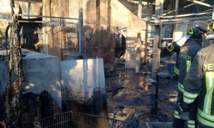 Orrore nel Milanese: incendio al gattile, strage di mici FOTO