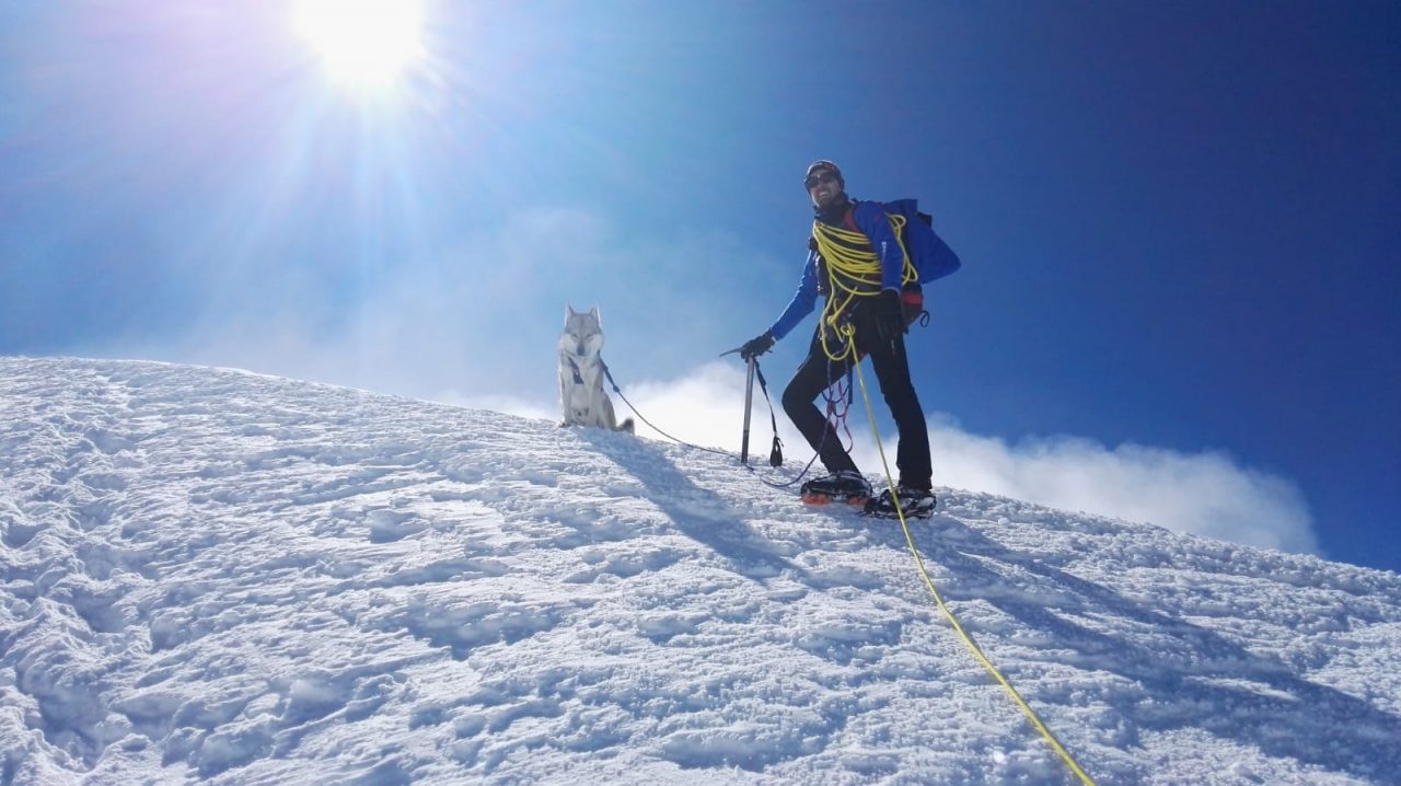 Record europeo per il cane-alpinista