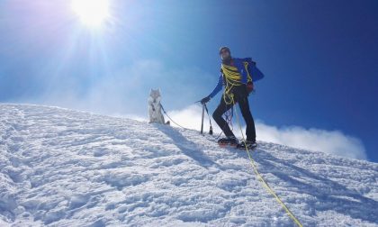 Record europeo per il cane-alpinista
