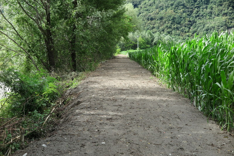 La “tangenziale” del Parco della Bosca fa discutere
