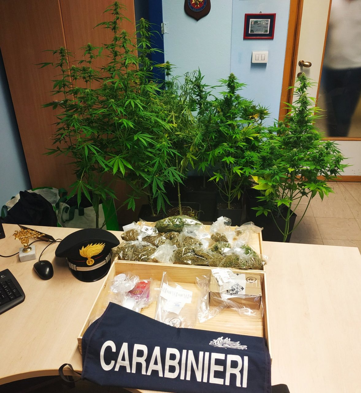 Carabinieri scoprono una fabbrica di droga