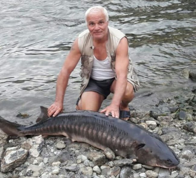 Storione da record pescato nell’Adda