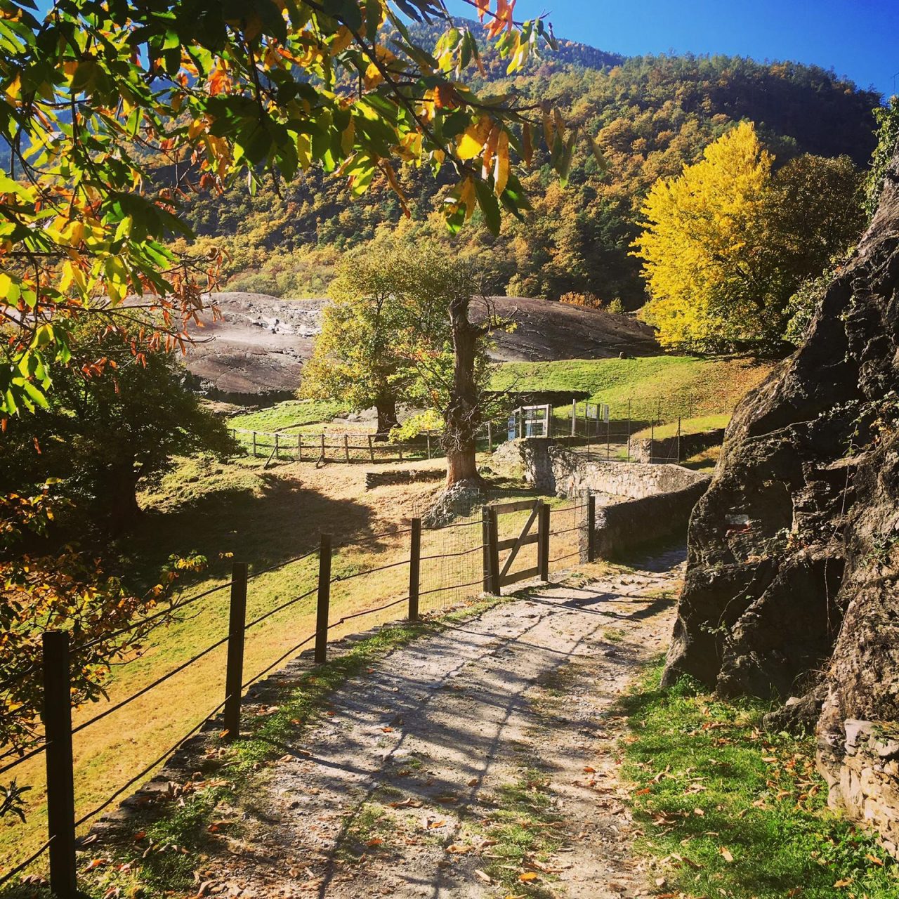 Grosio, autunno al Parco delle incisioni rupestri