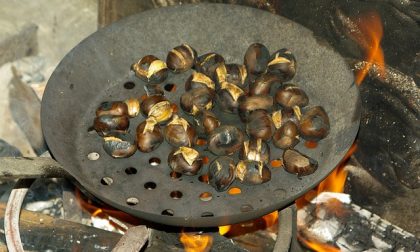 Castagne, l'annata in Valle è buona per qualità e quantità