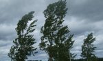 Allerta per vento forte in Valchiavenna