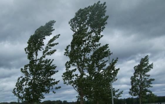 In Lombardia allerta per il forte vento. Temperature in picchiata PREVISIONI METEO
