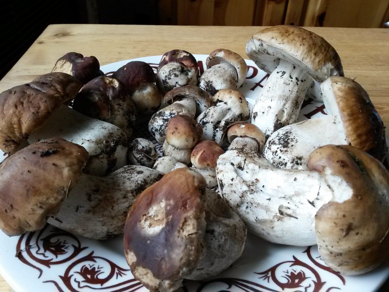 Sapori d’autunno a Teglio, ora tocca ai funghi