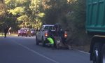 Cervo contro camion Secam, autista illeso