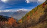 La Valtellina in autunno: un tripudio di colori, ecco dove ammirarlo
