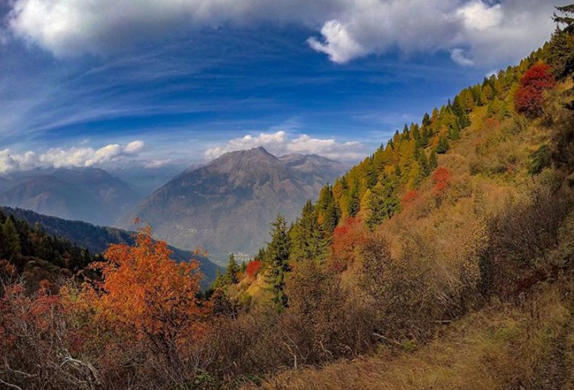 La Valtellina in autunno: un tripudio di colori, ecco dove ammirarlo