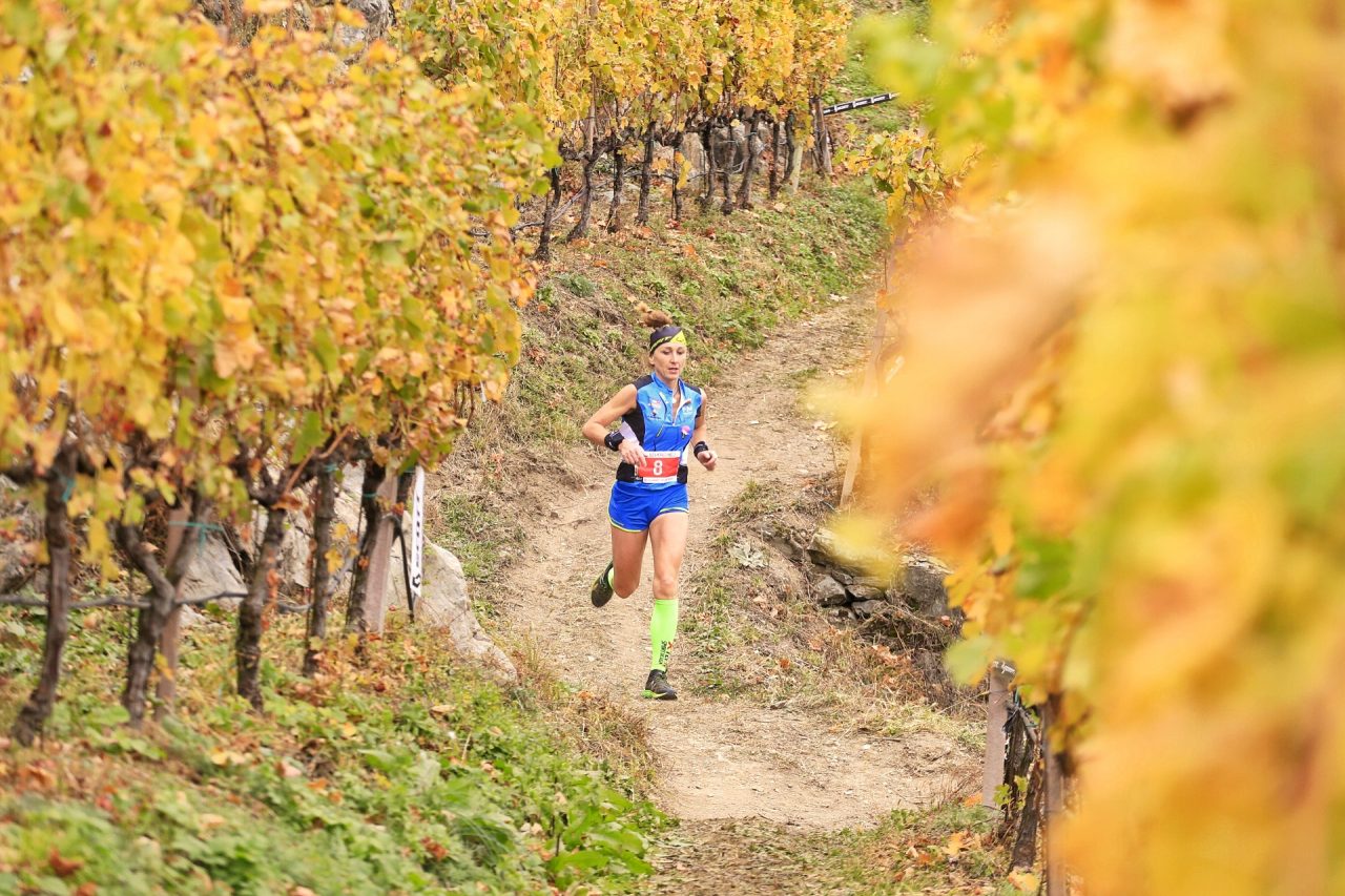 Il Valtellina Wine Trail by night