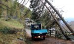 Strage di alberi, valtellinesi al lavoro per liberare la strada FOTO