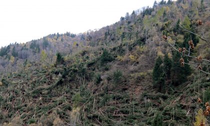 Emergenza maltempo, Sertori: "Danni contenuti grazie alla prevenzione"