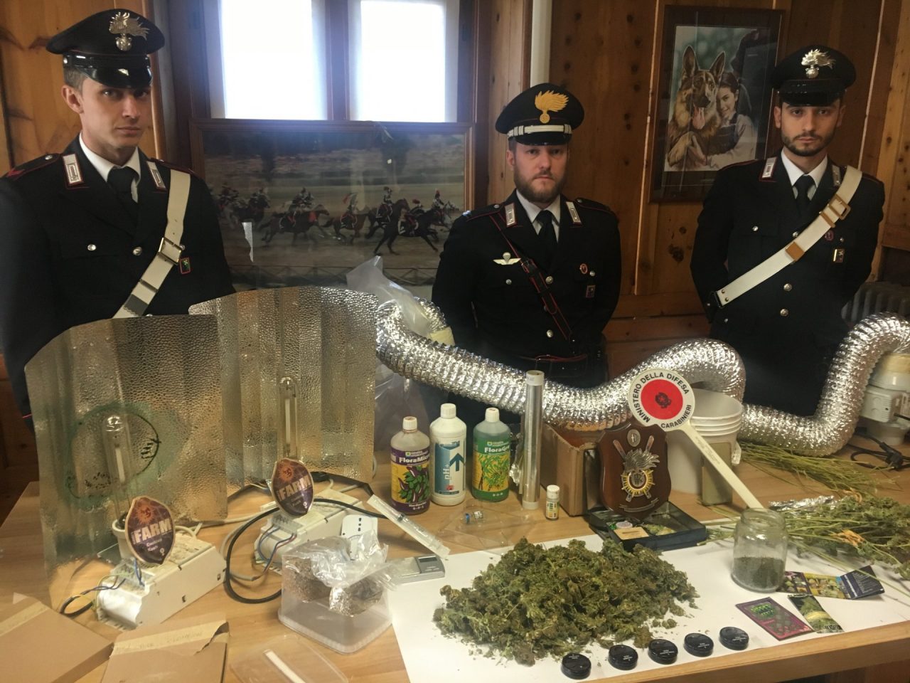 Aveva in cantina una fabbrica di droga, arrestato 26enne