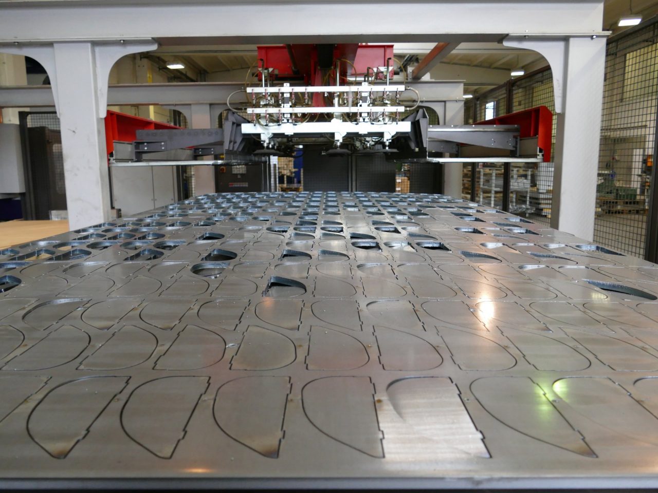 Eco Step Italia