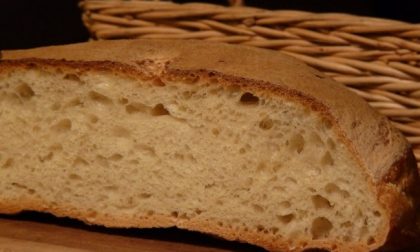 Pane fresco o conservato? Da domani lo sapremo dall’etichetta