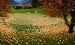 Bormio Golf, stagione conclusa