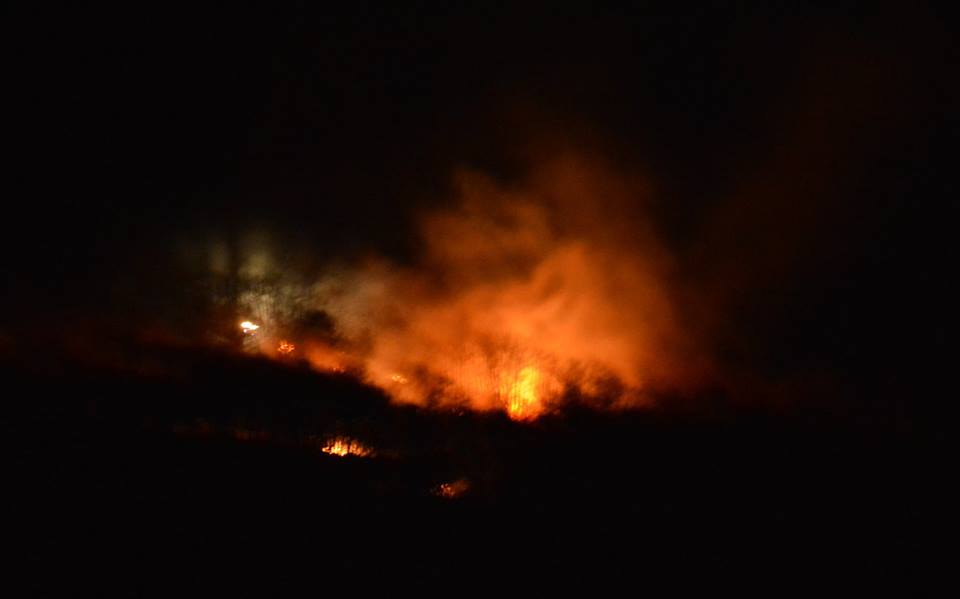 Gli incendi nei boschi fanno paura: divieto assoluto di accendere fuochi