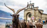 Festa di Sant’Antonio, animali e padroni in piazza per ricevere la benedizione VIDEO