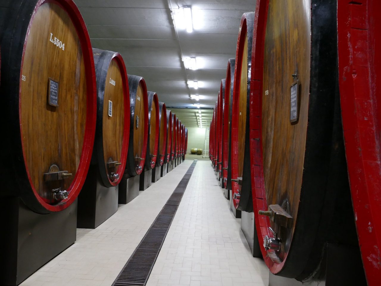 Vini di Valtellina