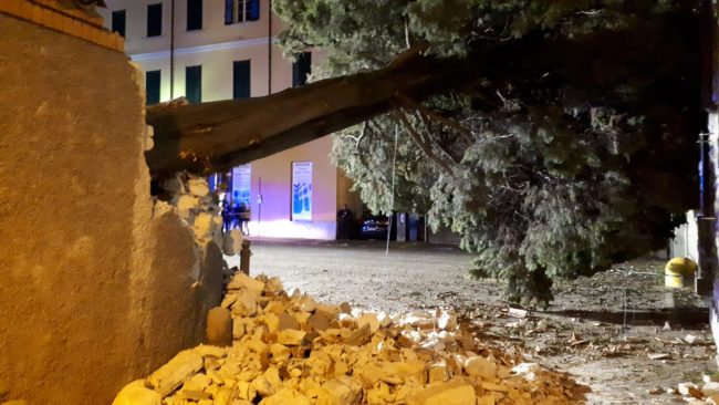 Cade albero sulla piazza, tragedia sfiorata alla Pesa Vegia