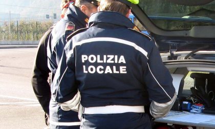 Agente della Polizia locale accoltellato, Zamperini: "Tolleranza zero contro chi spaccia"