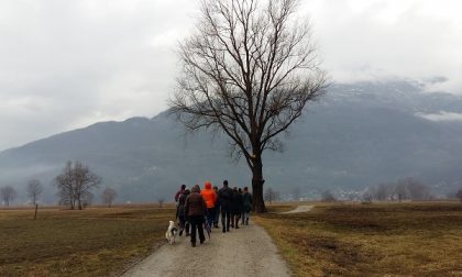 Passeggiata al Pian di Spagna con gli ambientalisti