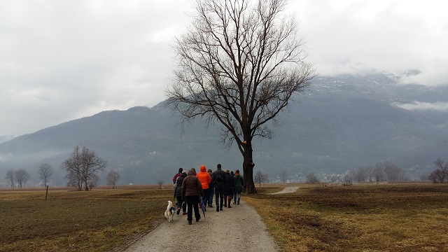 Passeggiata al Pian di Spagna con gli ambientalisti