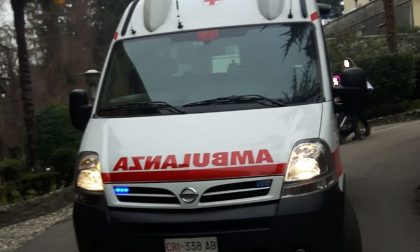 Cade una pianta e lo colpisce in pieno, 15enne all'ospedale