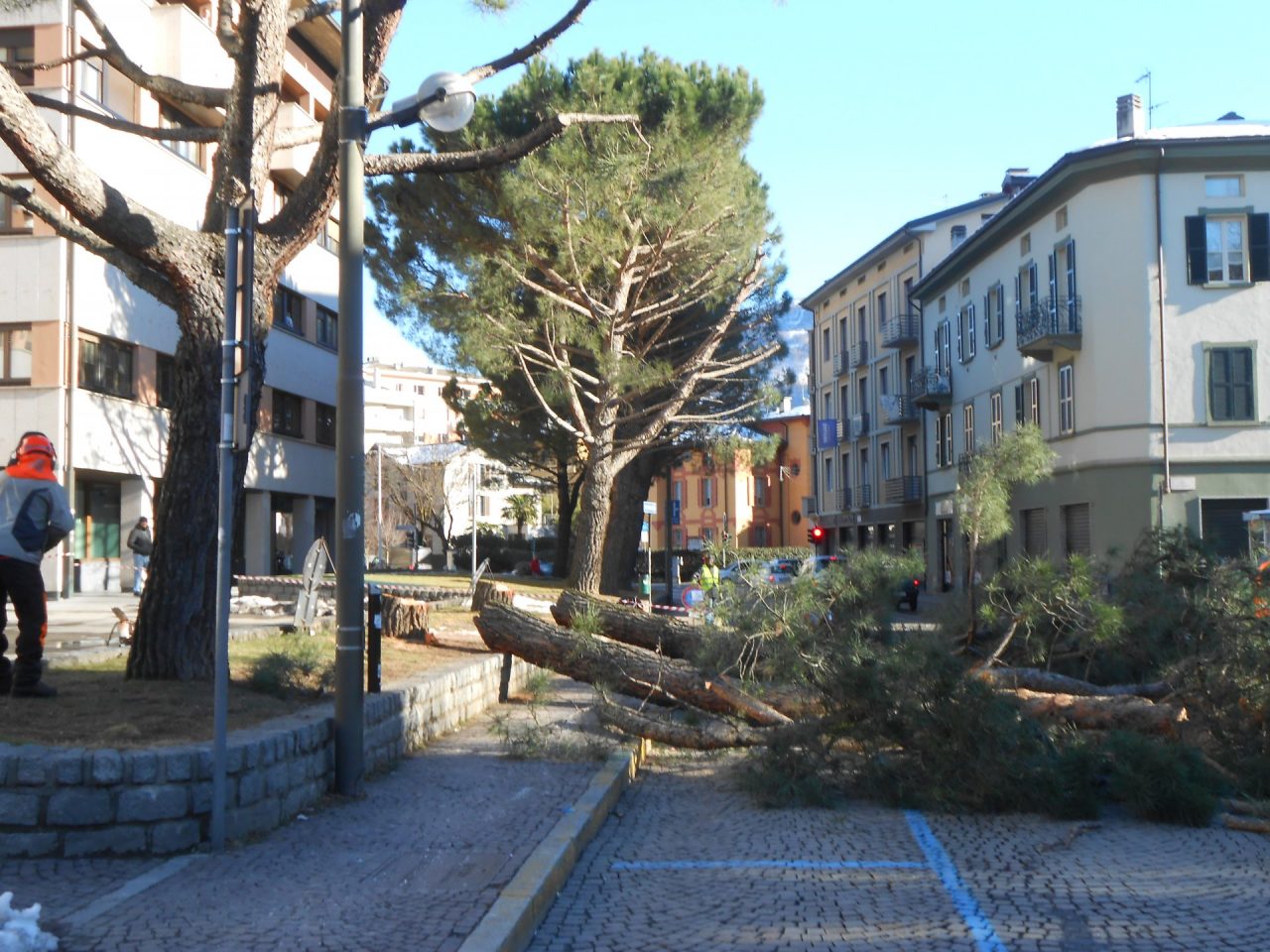 Addio ai pini marittimi di piazzale Valgoi
