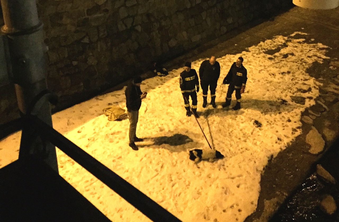 Cade nel Mallero, cagnolino salvato dai pompieri