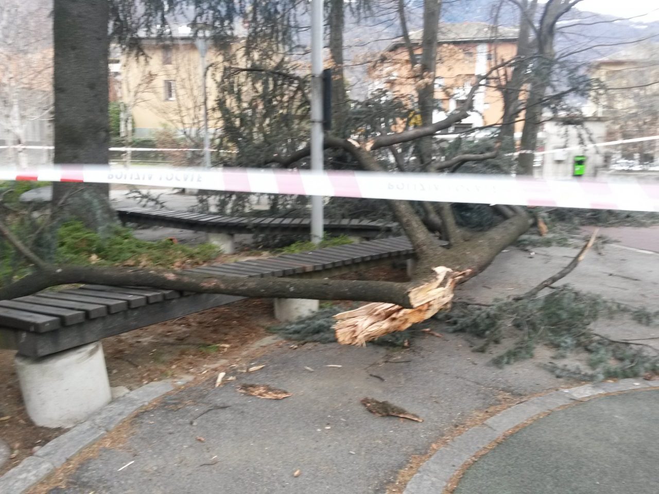 Grossi rami spezzati dal vento, paura al parco giochi – FOTO