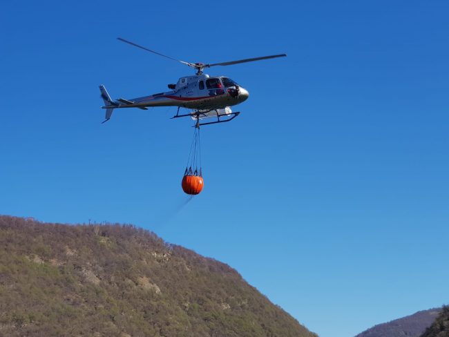 Incendi boschivi: scatta l’allarme rosso della Protezione Civile