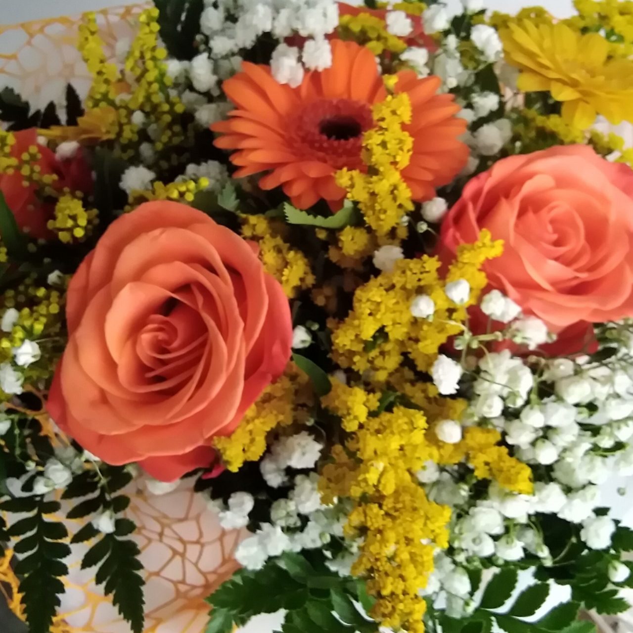 Festa delle Donne: la poesia di Paola Mara De Maestri