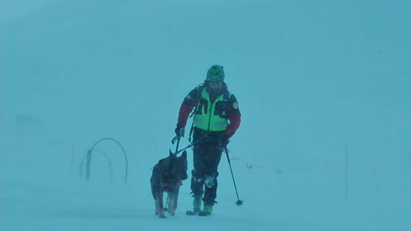 Soccorso alpino ricerca neve cinofili (1)