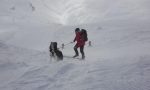 Cinofili da tutta Italia per esercitarsi a Livigno FOTO