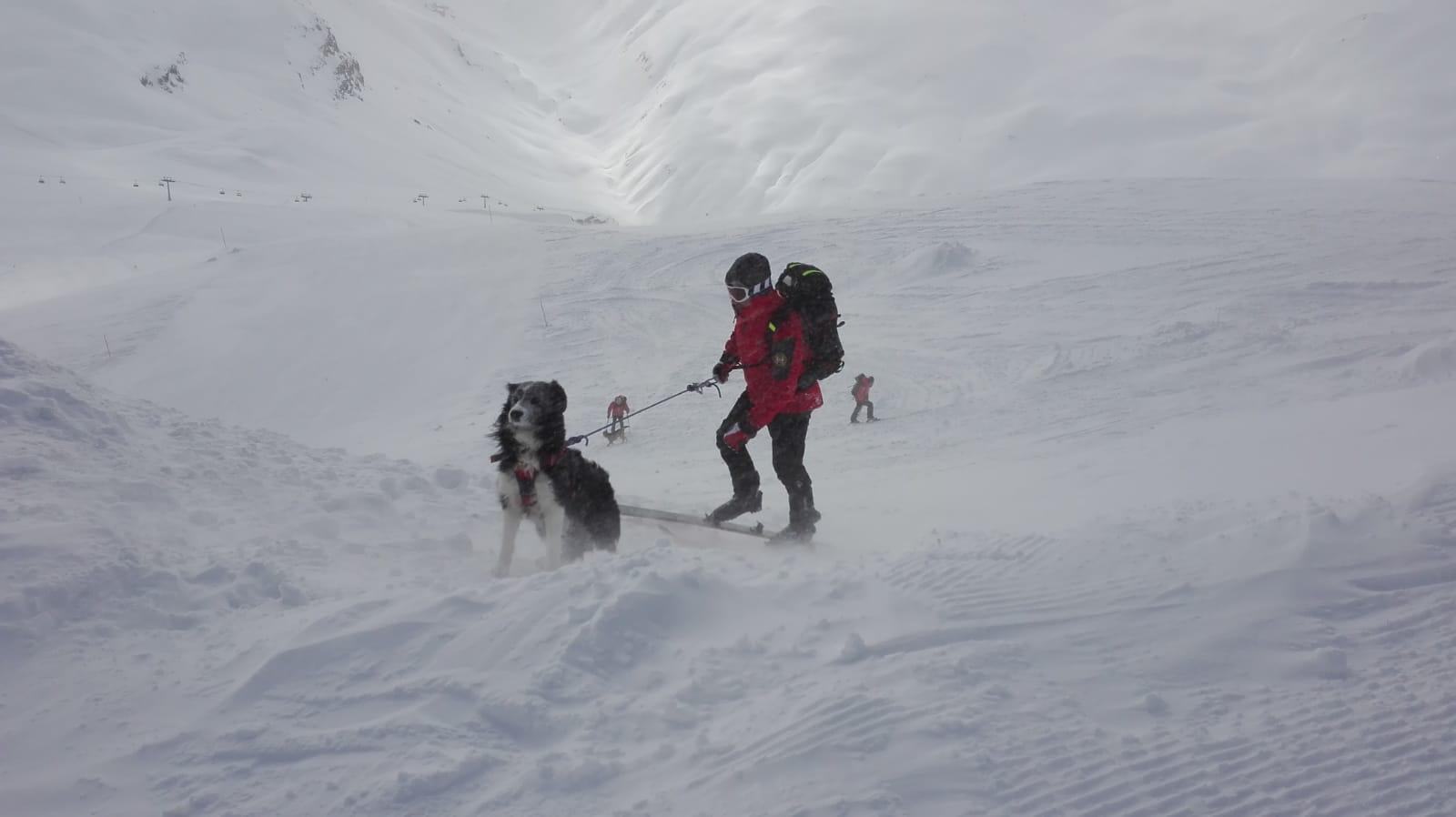 Soccorso alpino ricerca neve cinofili (4)