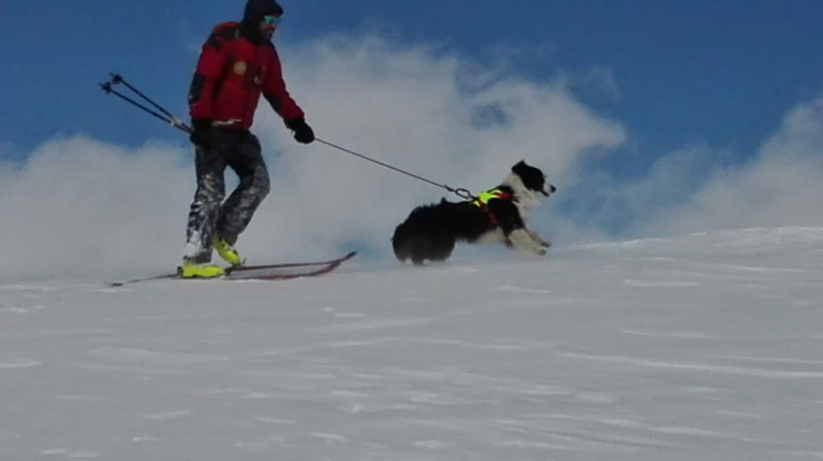 Soccorso alpino ricerca neve cinofili (5)