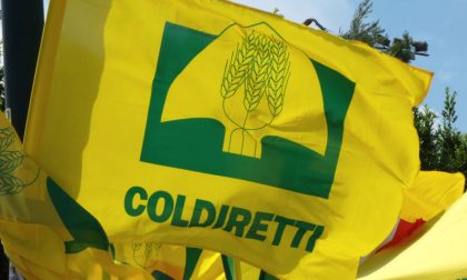 Coldiretti Sondrio: l’augurio di “buon lavoro”  del presidente Marchesini a Beduschi e Sertori