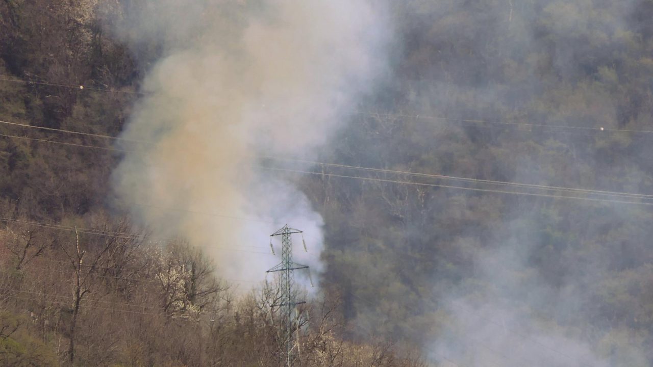 Caccia al piromane che incendia i boschi
