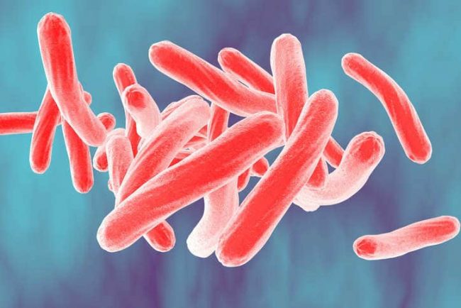 Caso di tubercolosi in Valtellina, altro studente morto in Piemonte