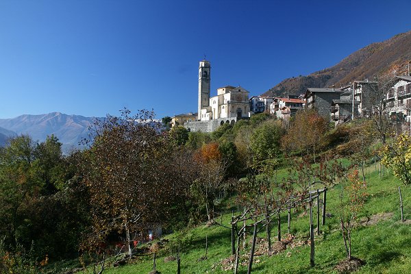 Elezioni a Cino, una poltrona per due