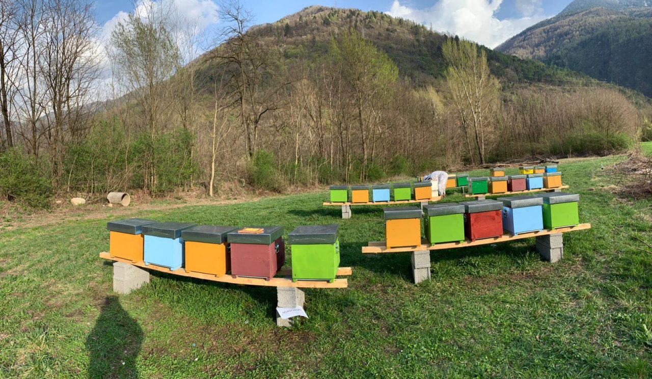 Progetto agricolo per Aprica